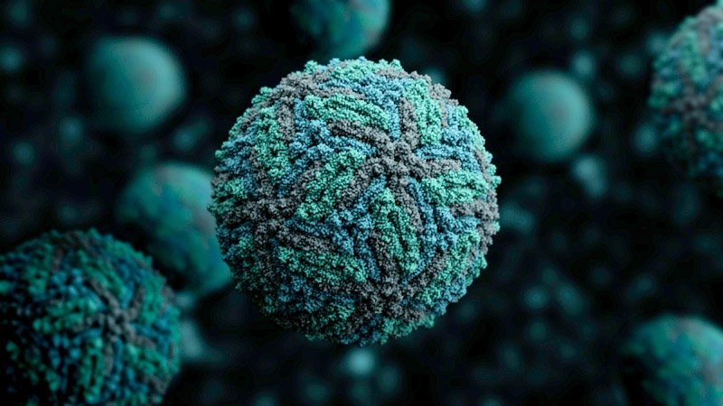 Paraíba registra mais de 8 mil casos prováveis de arboviroses em 2025, aponta boletim