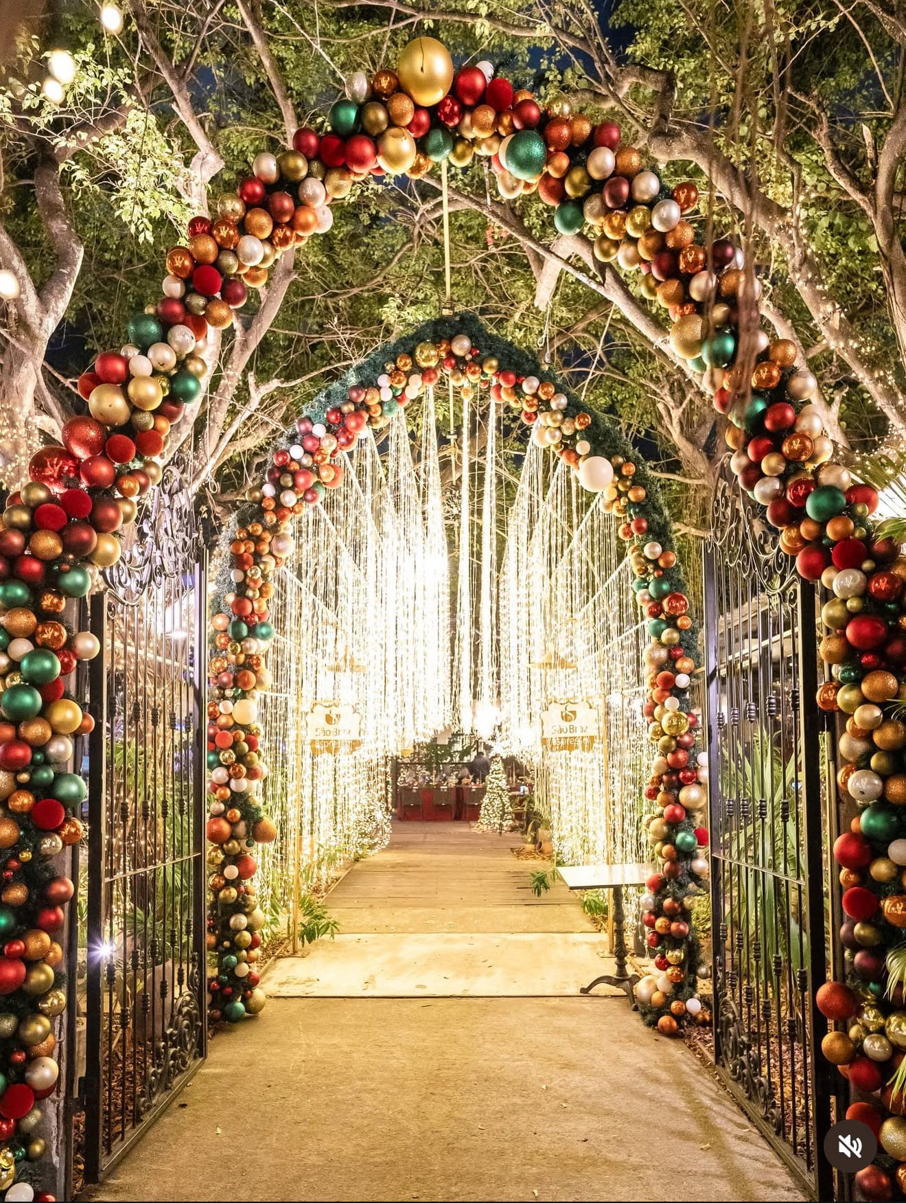 Reserve Garden ilumina o Natal com decoração com mais de 42 mil mini lâmpadas em JP