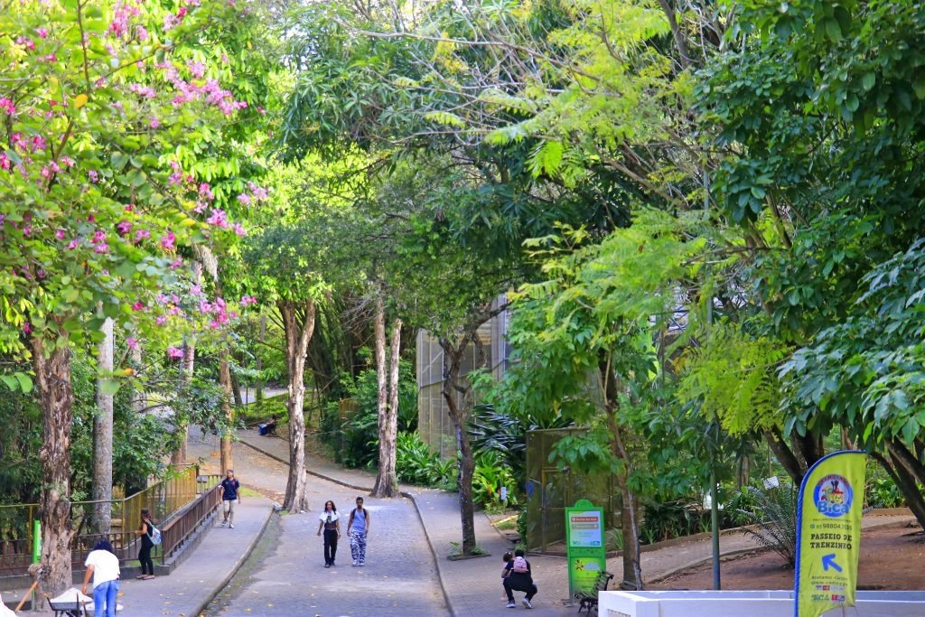 Bica reabre ao público nesta quinta-feira com novo plano de segurança