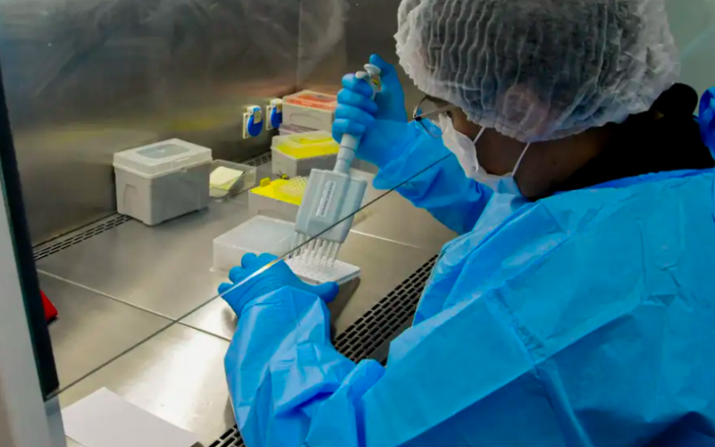 Novo teste de HPV no SUS pode antecipar diagnóstico em até 10 anos; saiba mais