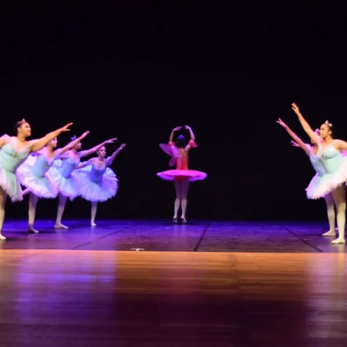 Público aplaude de pé apresentações da 3ª Mostra de Dança de João Pessoa