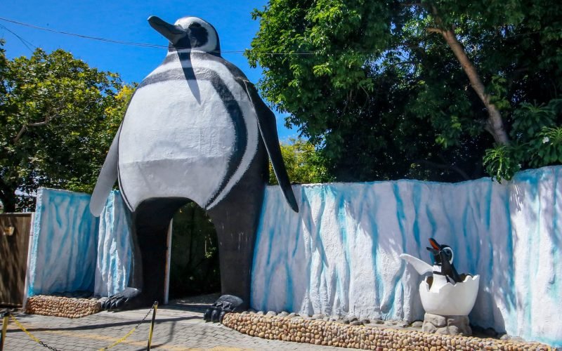 Em João Pessoa, Aquário Paraíba é opção de lazer para toda a família durante o mês de férias