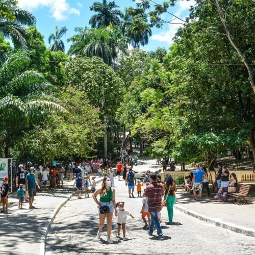 Bica abre nesta quinta e sexta e promove caça aos ovos no Sábado