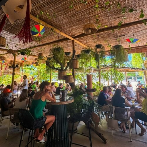 Ville Folia anima o sábado pré-Carnaval com programação gratuita para toda a família no Ville des Plantes