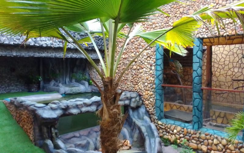Aquário Paraíba inaugura Espaço das Aves com diversas espécies e atrações