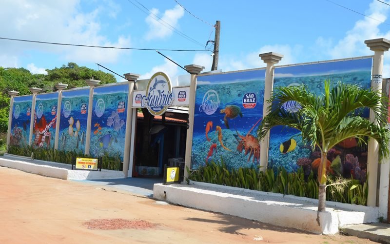 Diversão pela metade do preço: Aquário Paraíba oferece promoção de ingressos nas terças-feiras 
