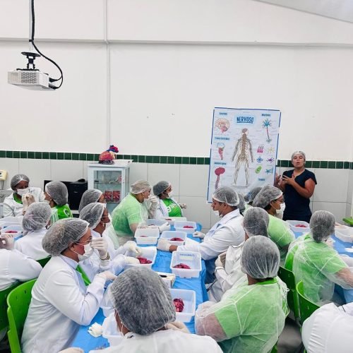 Cursos técnicos podem transformar vidas e impulsionar a economia brasileira, defende presidente da BrasilTec