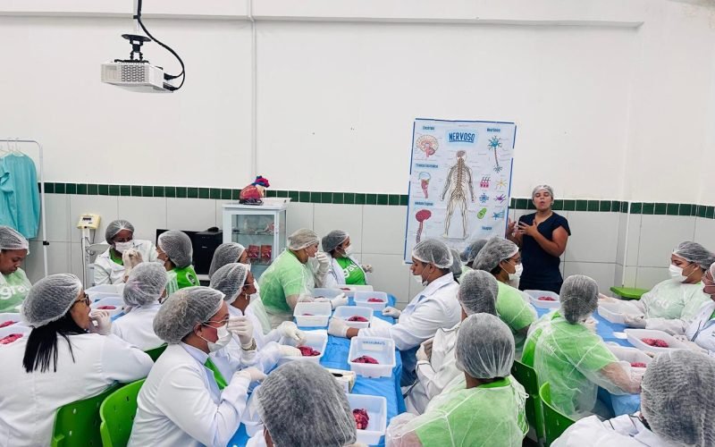 Cursos técnicos podem transformar vidas e impulsionar a economia brasileira, defende presidente da BrasilTec