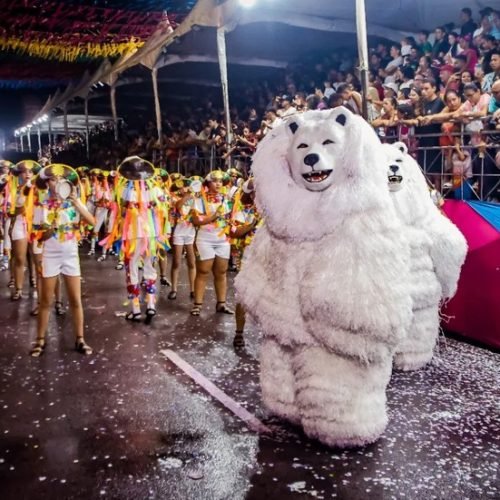Malandros do Morro conquista o título do Carnaval Tradição 2026 de João Pessoa
