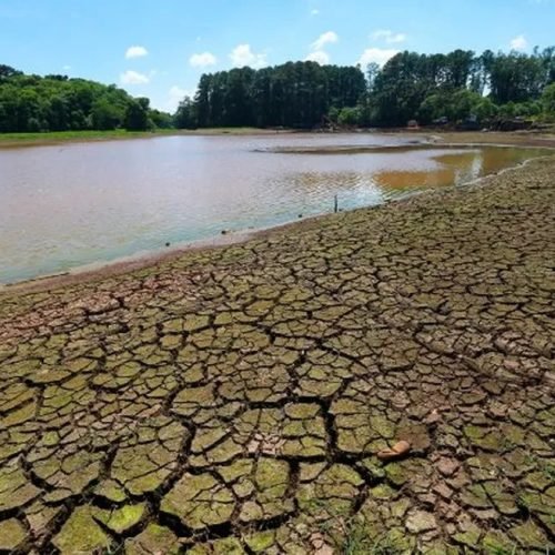Paraíba tem 152 cidades em situação de emergência por seca e estiagem