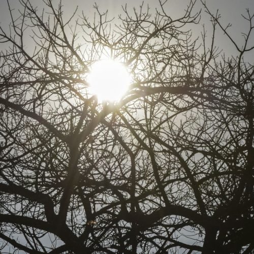 Tempo seco na capital federal com baixa umidade relativa do ar, Brasília vive o período mais crítico de seca.