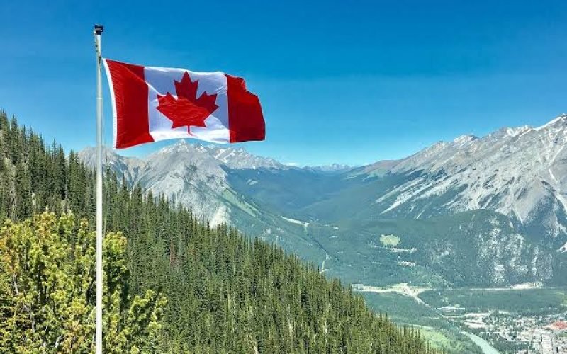 Canadá se torna destino favorito de brasileiros em busca de estudo, trabalho e moradia