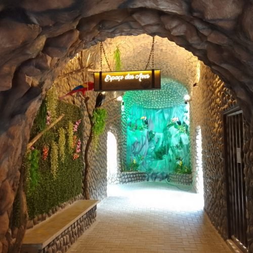 Lazer em João Pessoa: Aquário Paraíba mantém funcionamento no Carnaval; saiba mais sobre ingressos