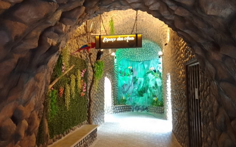 Lazer em João Pessoa: Aquário Paraíba mantém funcionamento no Carnaval; saiba mais sobre ingressos