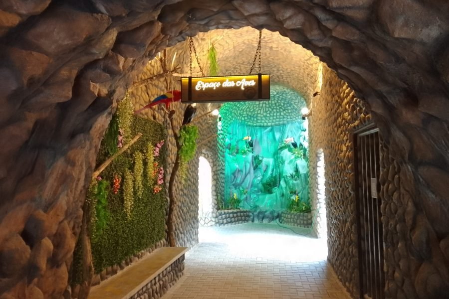 Lazer em João Pessoa: Aquário Paraíba mantém funcionamento no Carnaval; saiba mais sobre ingressos