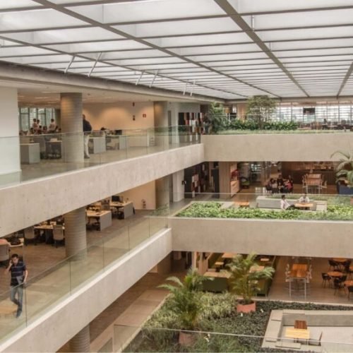 Startup paraibana é uma das selecionadas para programa de aceleração da Natura