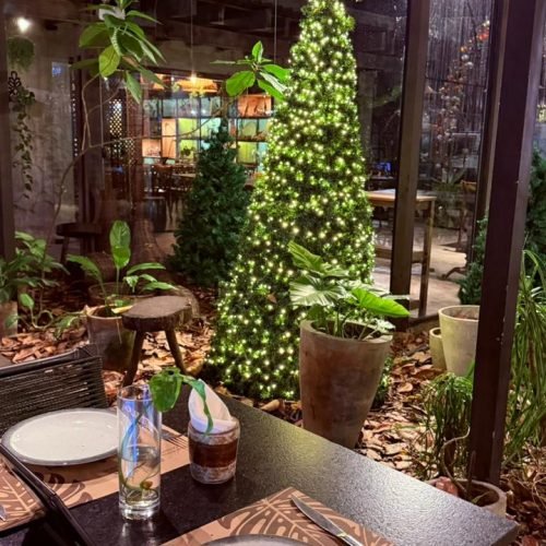 Reserve Garden estreia decoração de Natal nesta quinta-feira com show do cantor Kevin Ndjana