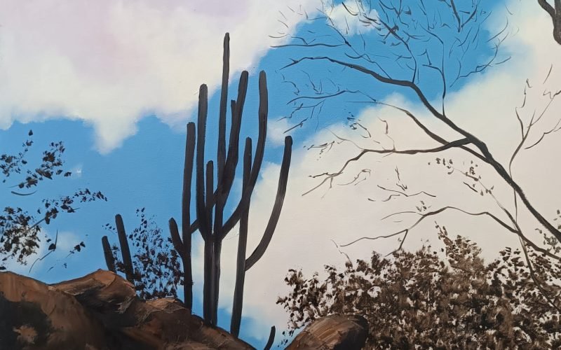 Centro Cultural São Francisco recebe exposição “Prisma da Paraíba”