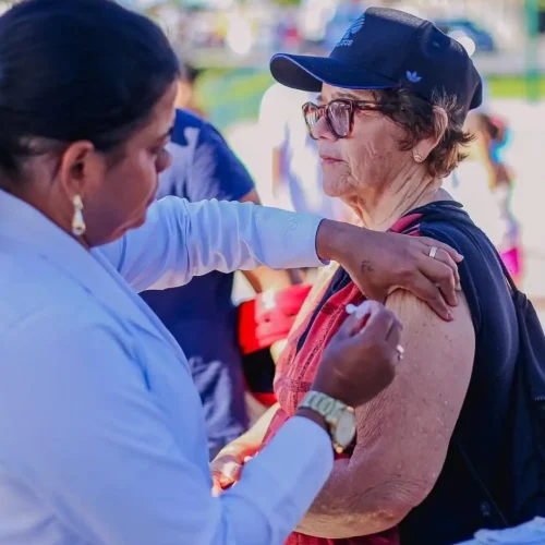 Capital realiza mobilização contra Influenza, dengue e multivacinação neste sábado