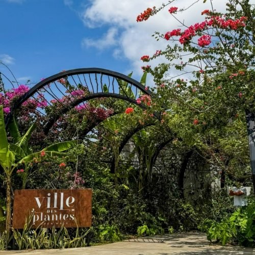 Ville des Plantes prepara programação especial para o Dia das Mães; confira detalhes