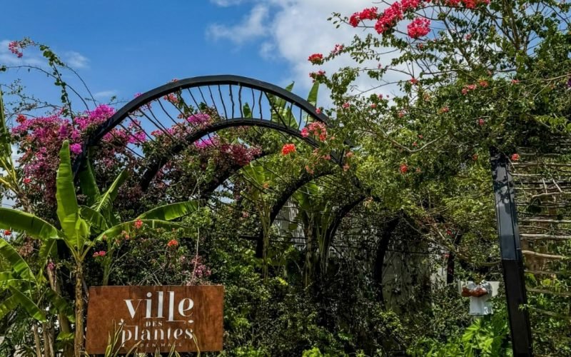 Ville des Plantes prepara programação especial para o Dia das Mães; confira detalhes