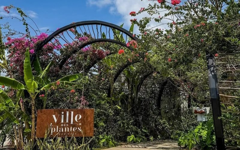 Ville des Plantes Open Mall celebra aniversário de 4 anos com ações promocionais em suas operações