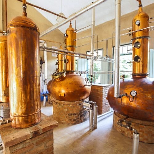 Inovação redefine a produção de cachaça no Brasil