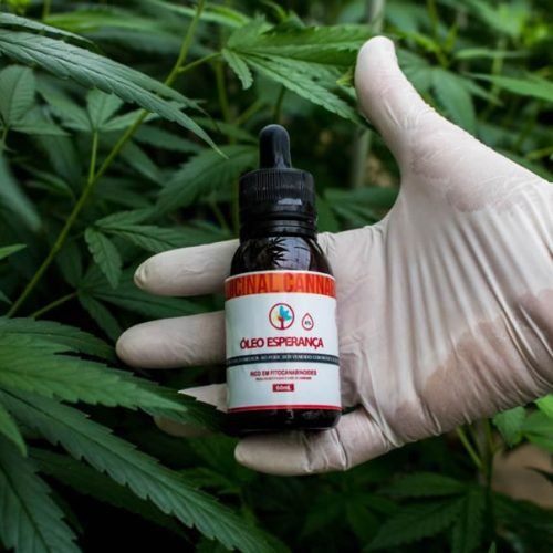 Justiça acata pedido da Abrace para ampliar utilização e fornecimento da Cannabis na Paraíba