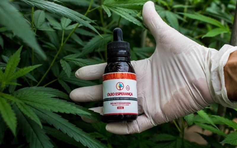 Justiça acata pedido da Abrace para ampliar utilização e fornecimento da Cannabis na Paraíba