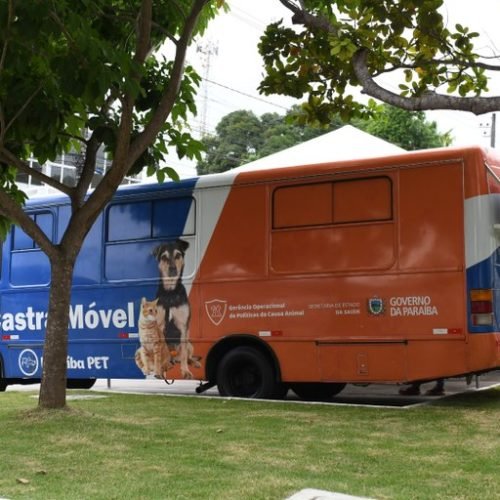 Paraíba Pet realiza mais de 1,4 mil castrações em todo o estado; saiba como fazer
