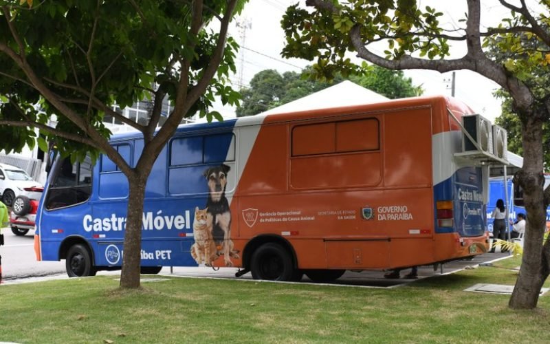 Paraíba Pet realiza mais de 1,4 mil castrações em todo o estado; saiba como fazer