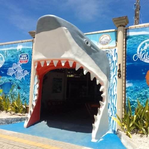 Aquário Paraíba oferece meia-entrada para público geral às terças-feiras