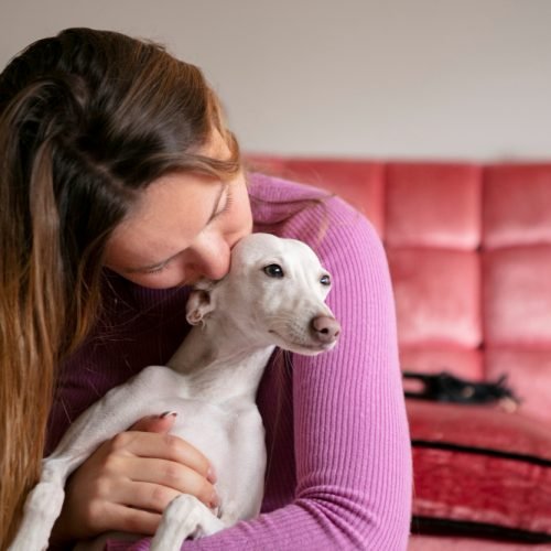 Outubro Rosa Pet: prevenção e diagnóstico precoce são essenciais no combate ao câncer de mama em cães e gatos