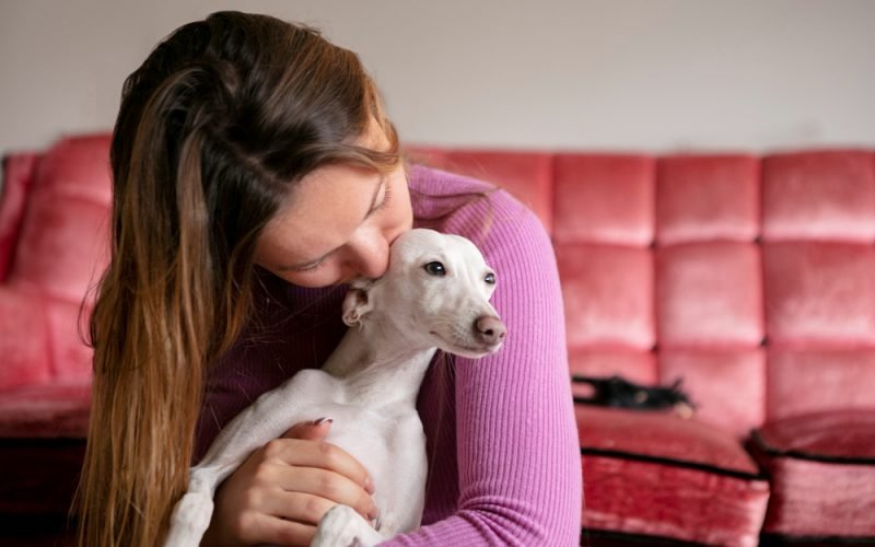 Outubro Rosa Pet: prevenção e diagnóstico precoce são essenciais no combate ao câncer de mama em cães e gatos