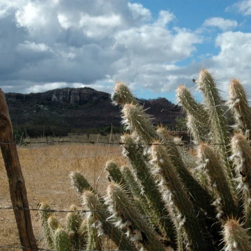 Governo reconhece situação de emergência em duas cidades da Paraíba