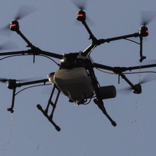 Prefeitura de JP começa a usar drones no combate ao mosquito Aedes aegypti, nesta segunda