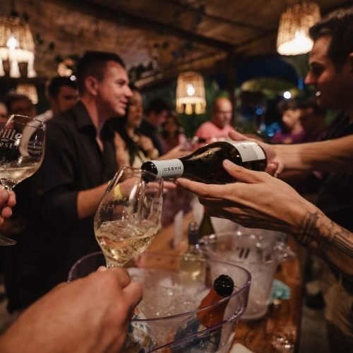 Vinhos das principais regiões do mundo e rótulos premiados estarão no Ville Wine Fest 2025