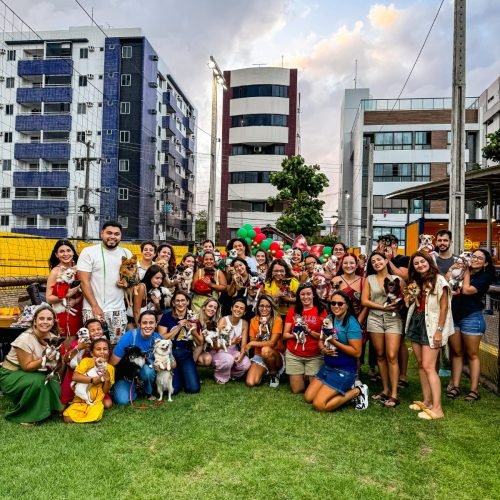 Cãofra Clube Chihuahua anima o Ville des Plantes neste sábado, a partir das 15h30; saiba mais