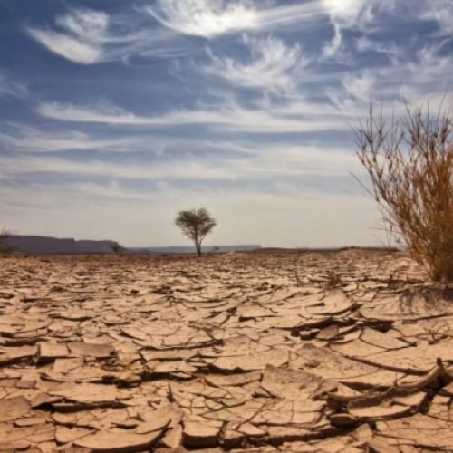 Governo Federal reconhece situação de emergência em sete municípios da Paraíba